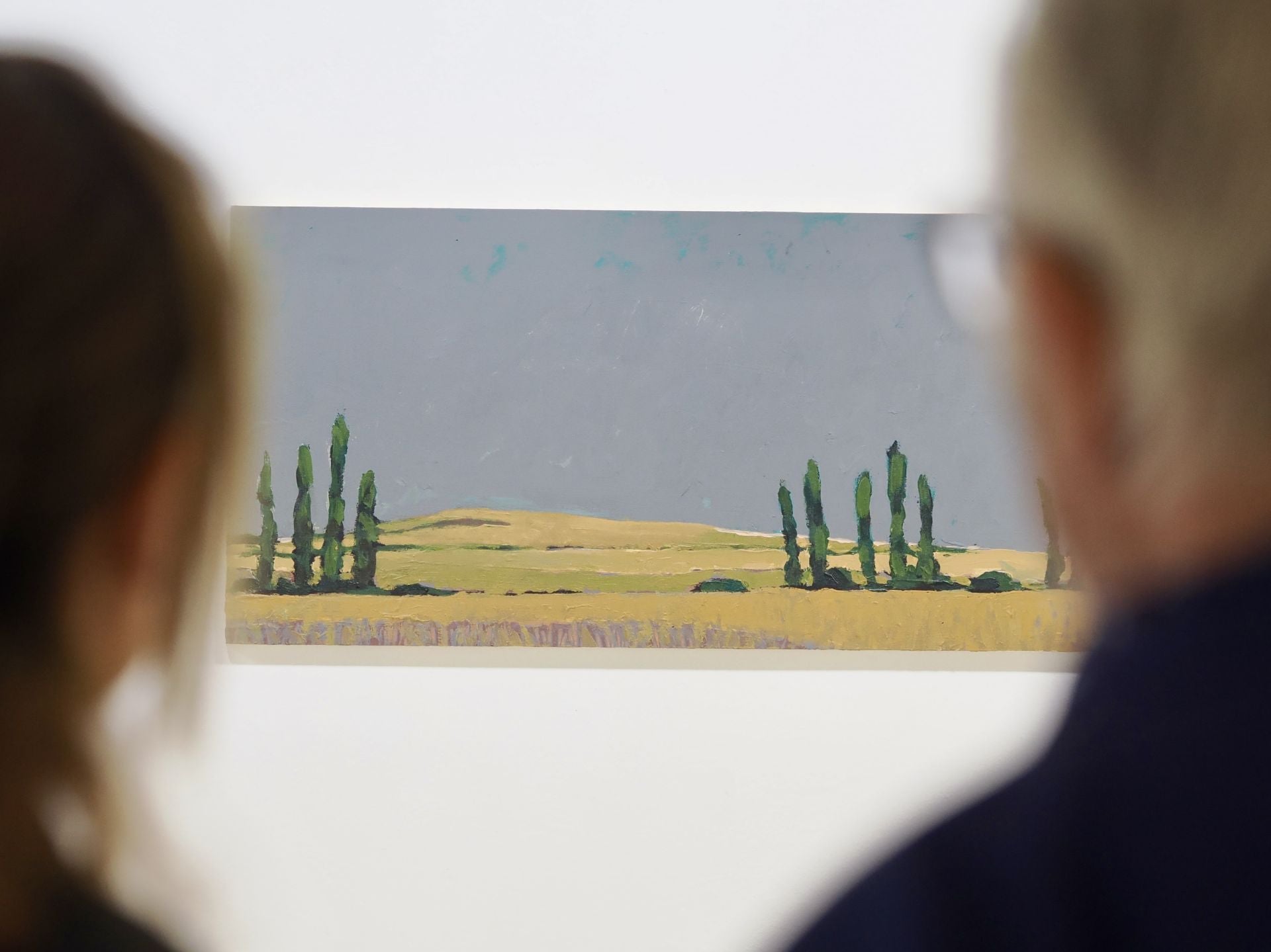 Las imágenes de la exposición de Gerardo Vacas en Valladolid