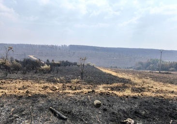 El Estado incluye a ocho municipios de Palencia en las ayudas por los incendios