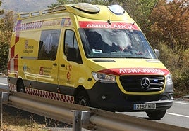 Herido un ciclista en un accidente en Valladolid