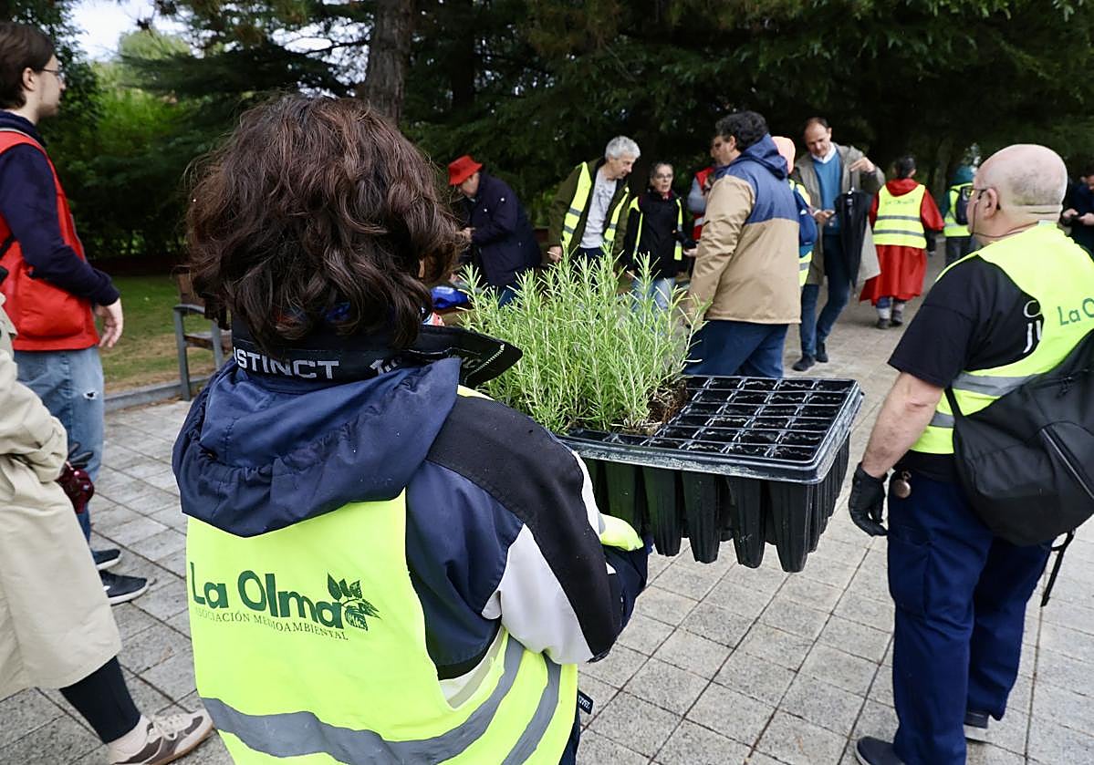 Las imágenes de la plantación solidaria con motivo del Día de las Personas sin Hogar