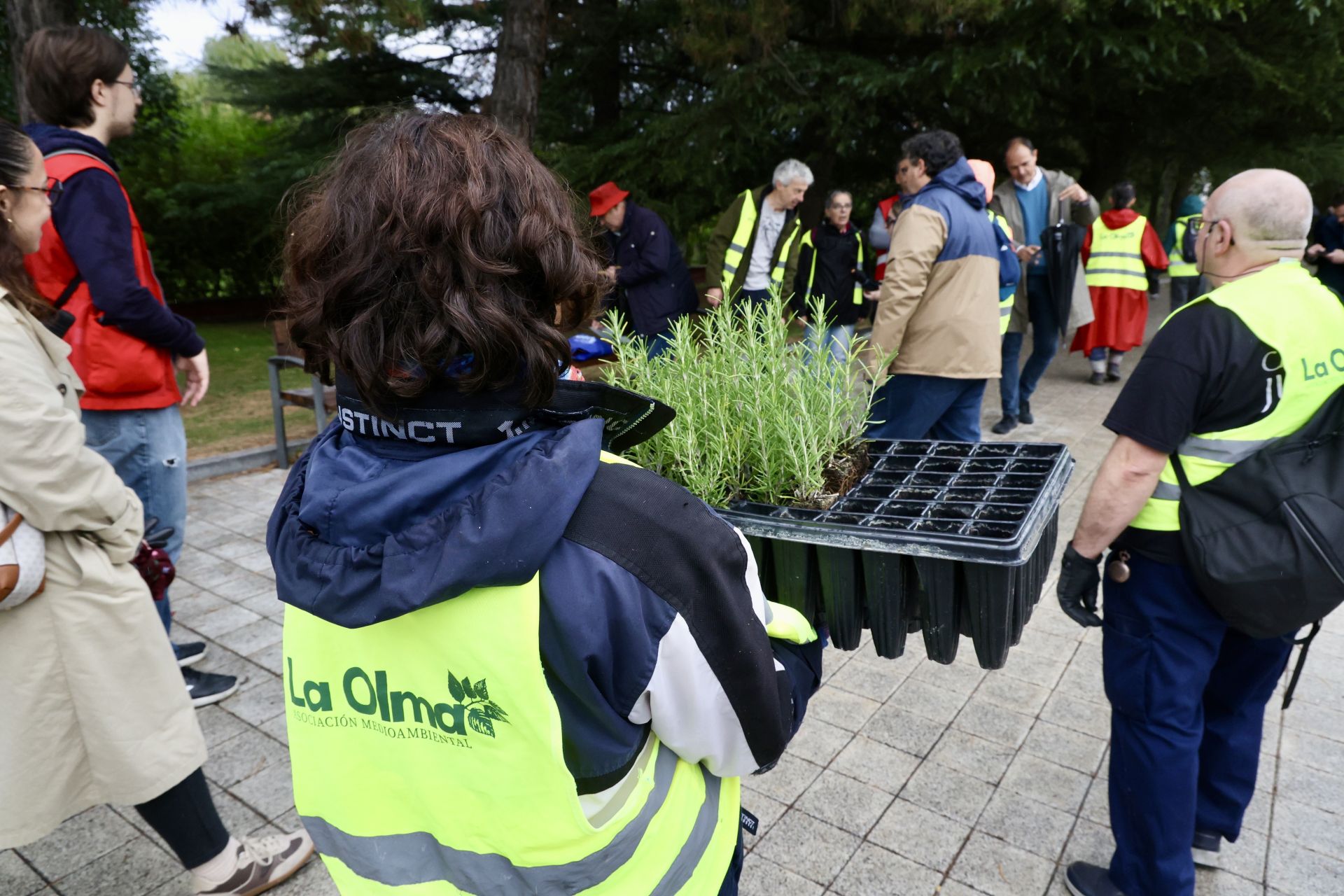 Las imágenes de la plantación solidaria con motivo del Día de las Personas sin Hogar