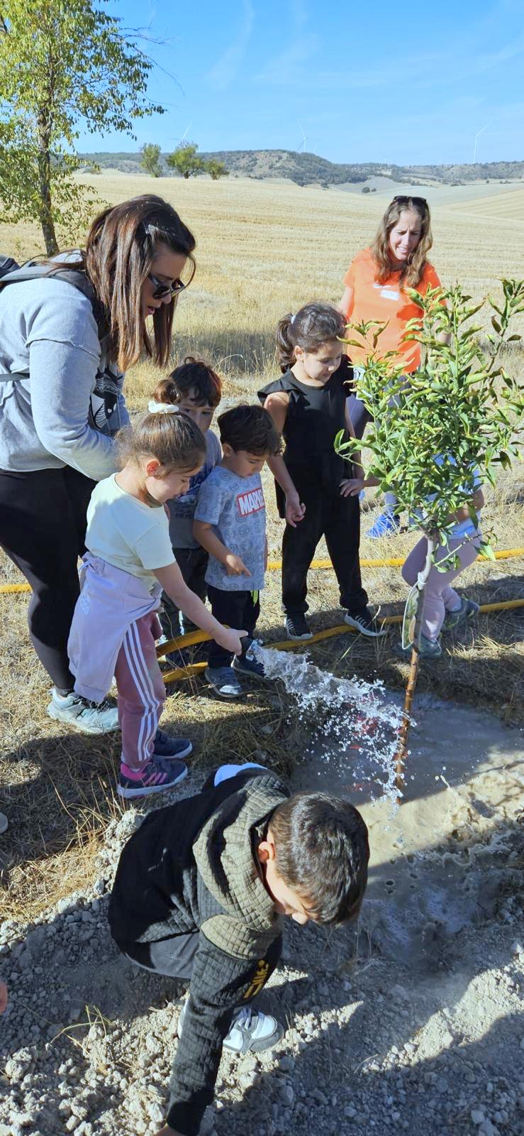 Plantación de Árboles en Baltanás
