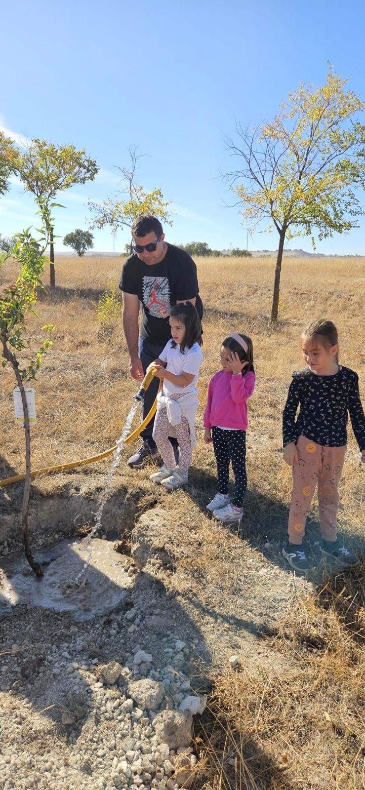 Plantación de Árboles en Baltanás