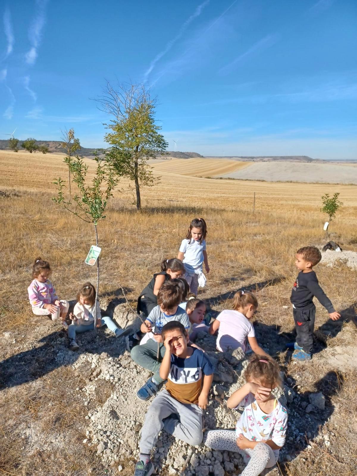 Plantación de Árboles en Baltanás