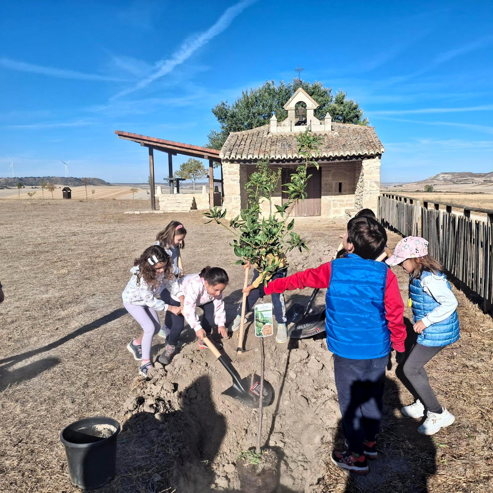 Plantación de Árboles en Baltanás