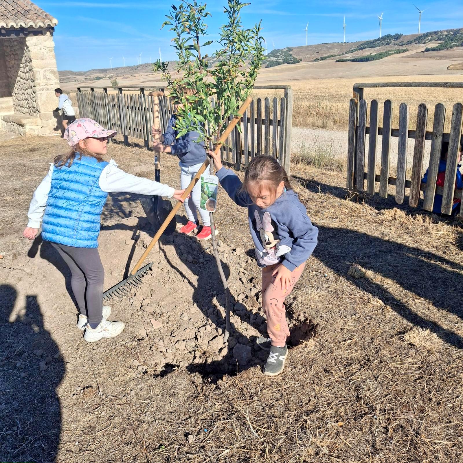 Plantación de Árboles en Baltanás