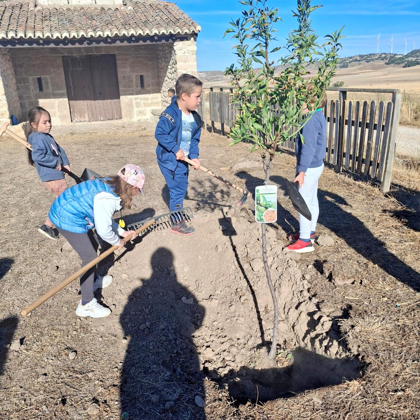 Plantación de Árboles en Baltanás