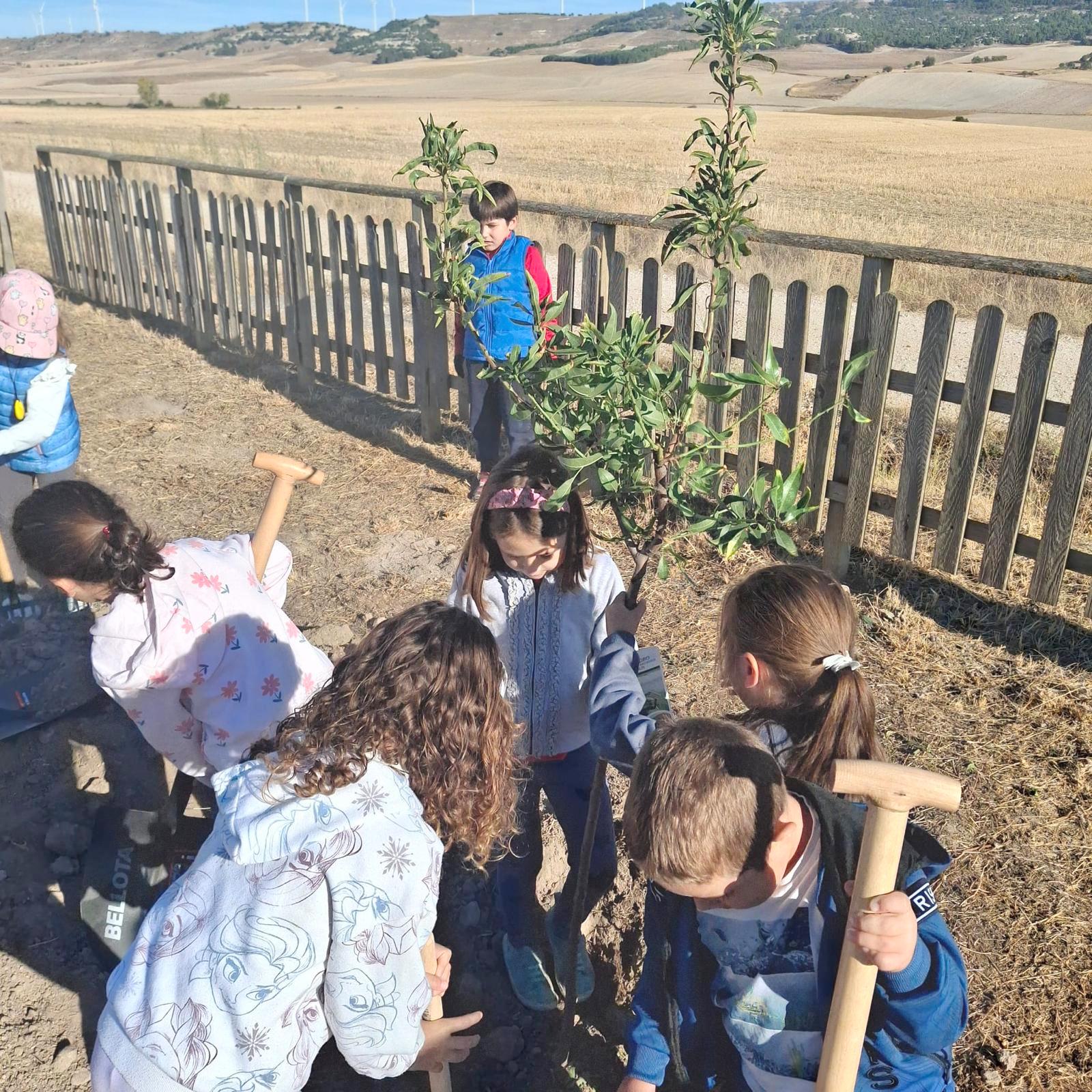 Plantación de Árboles en Baltanás