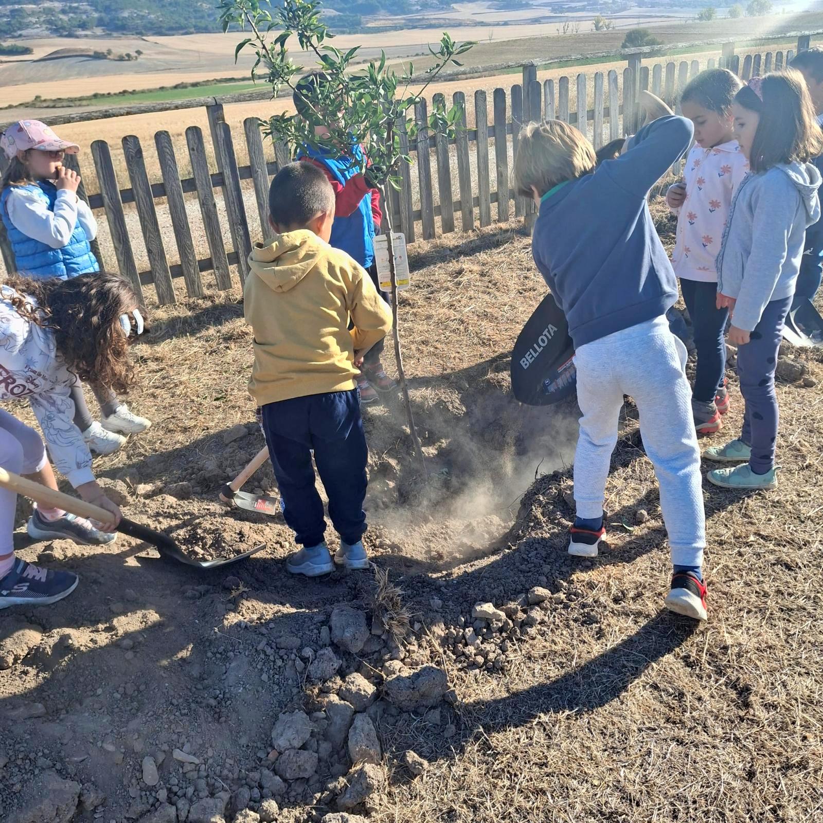 Plantación de Árboles en Baltanás