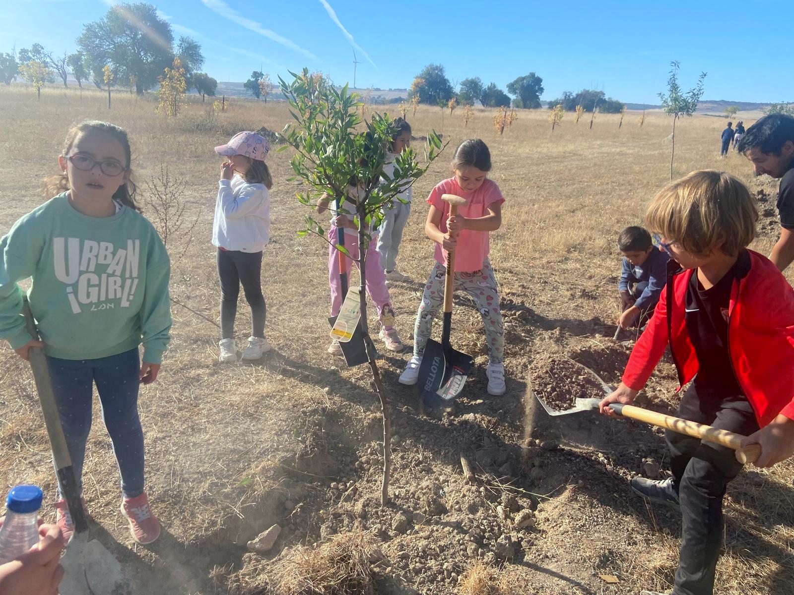Plantación de Árboles en Baltanás