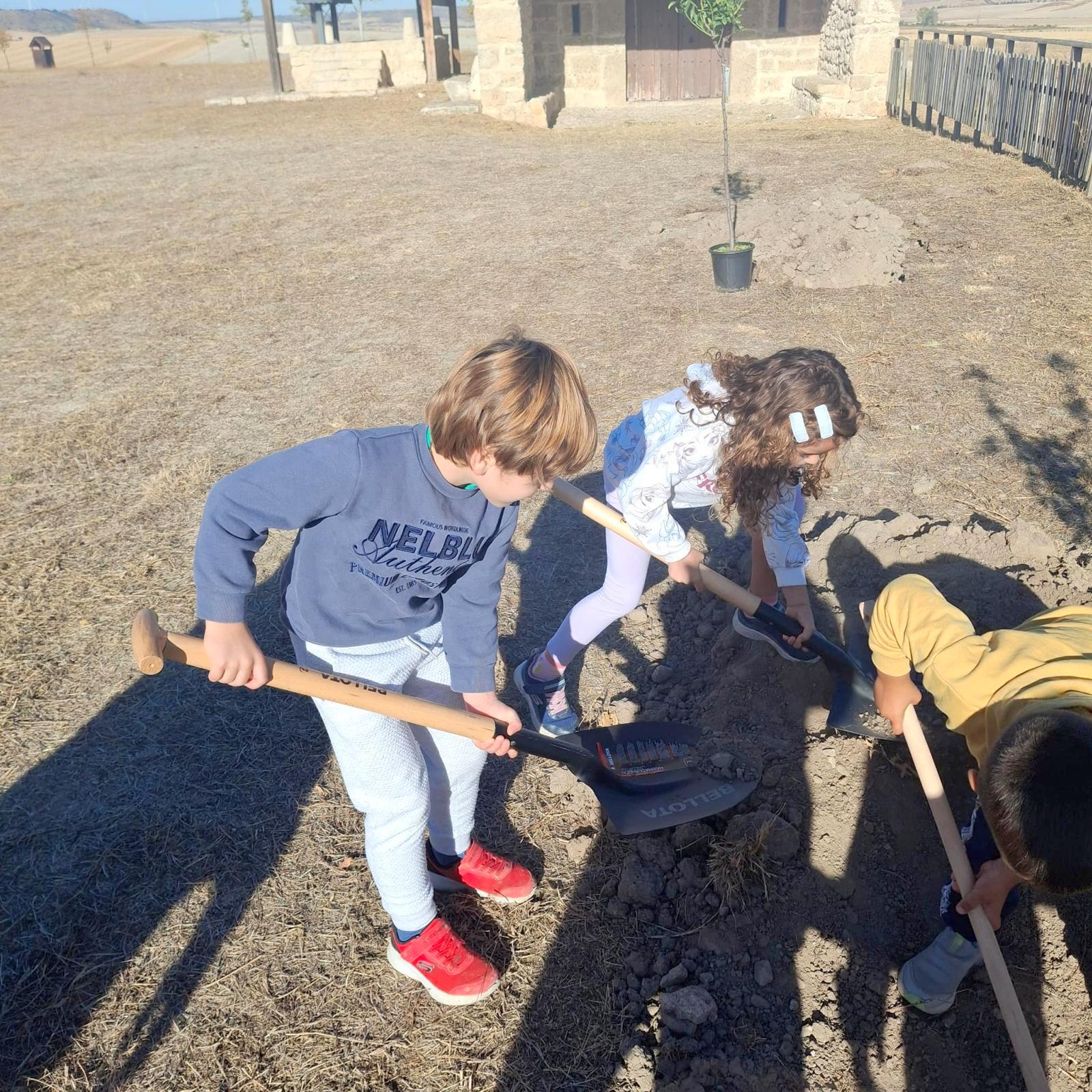 Plantación de Árboles en Baltanás