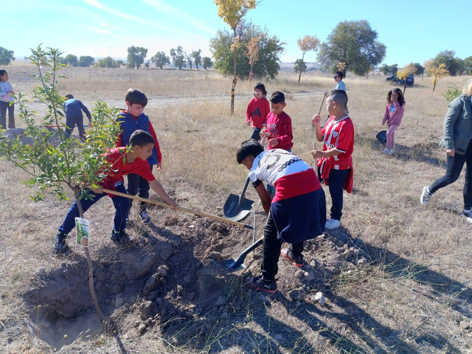 Plantación de Árboles en Baltanás
