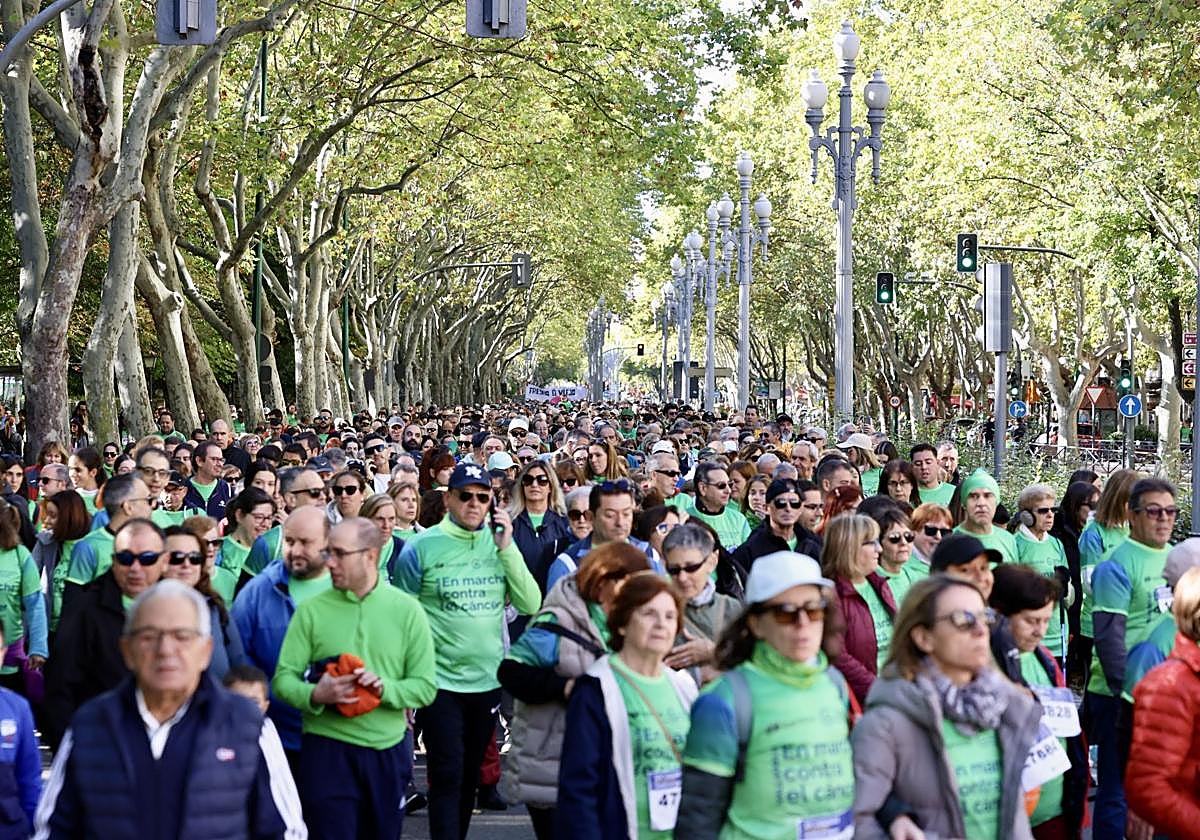 Las imágenes de la Marcha contra el Cáncer 2025