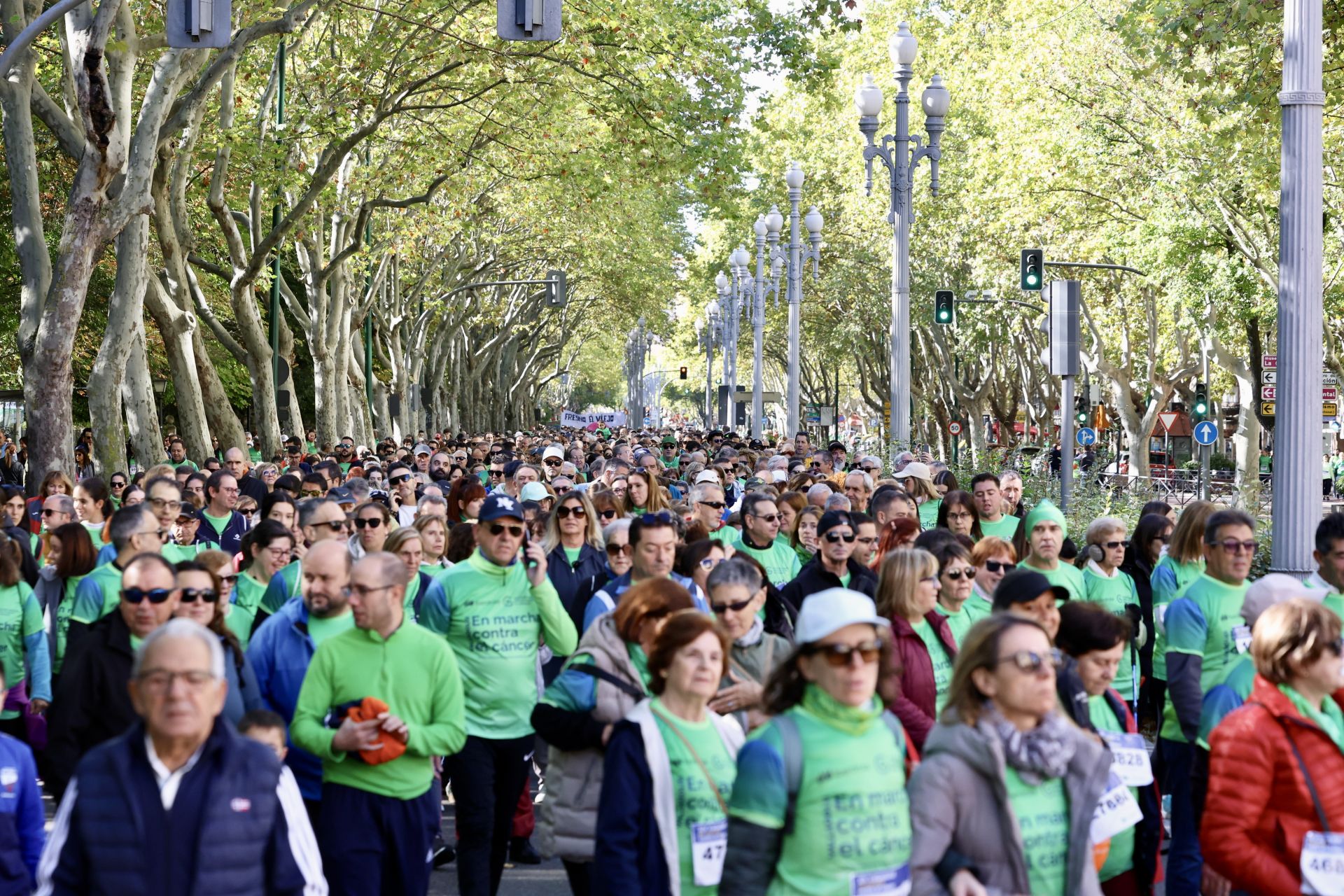 Las imágenes de la Marcha contra el Cáncer 2025
