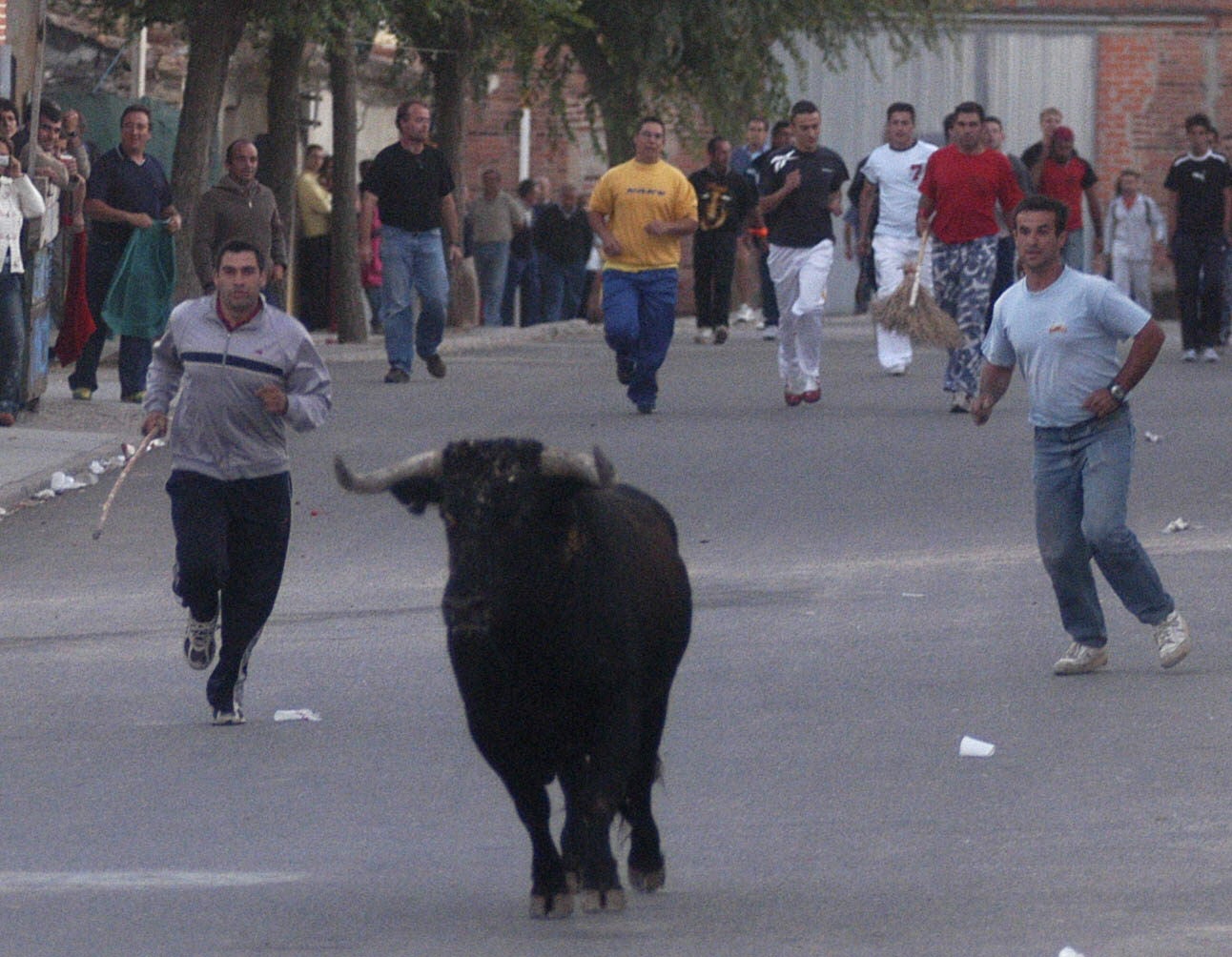 Un momento del encierro de las fiestas de Carpio. 12 de septiembre de 2005.