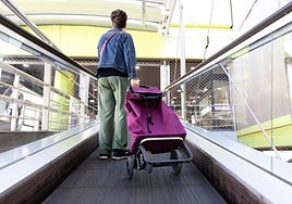 Cliente en un supermercado.