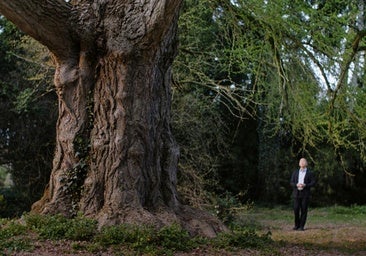 El cine puzzle: mismo lugar, distintos tiempos