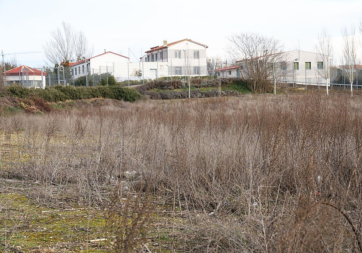 Terrenos junto al Zambrana que acogerán la nueva zona residencial.