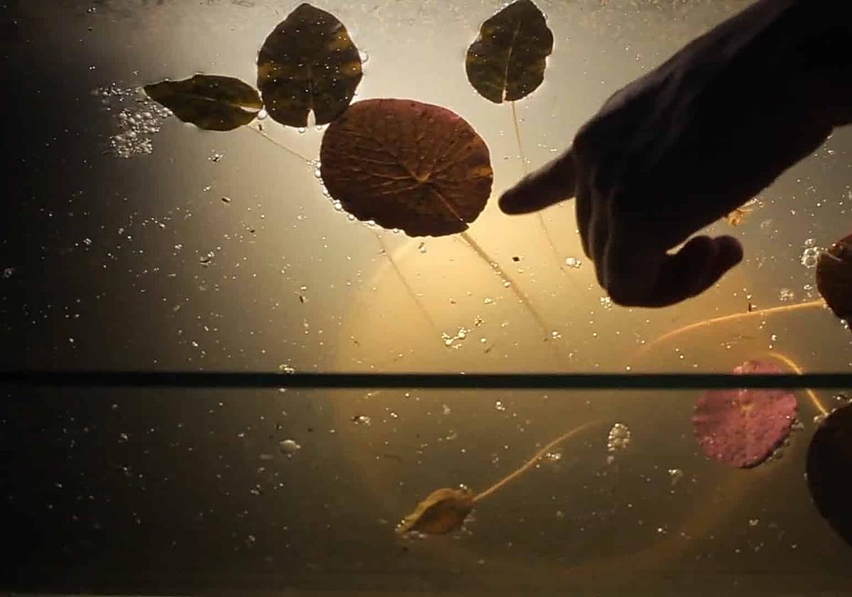 Un fotograma del filme de Candela Sotos.