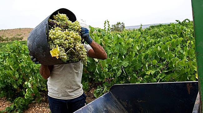 ¿Cuál de estas expresiones populares está relacionada con el mundo del vino?