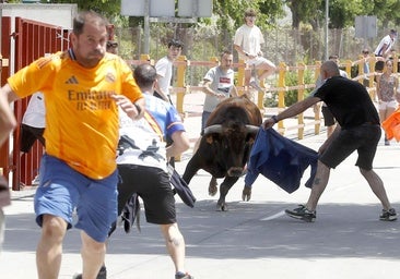 Un pueblo de Valladolid aplaza los festejos taurinos de este fin de semana por un virus que amenaza al ganado