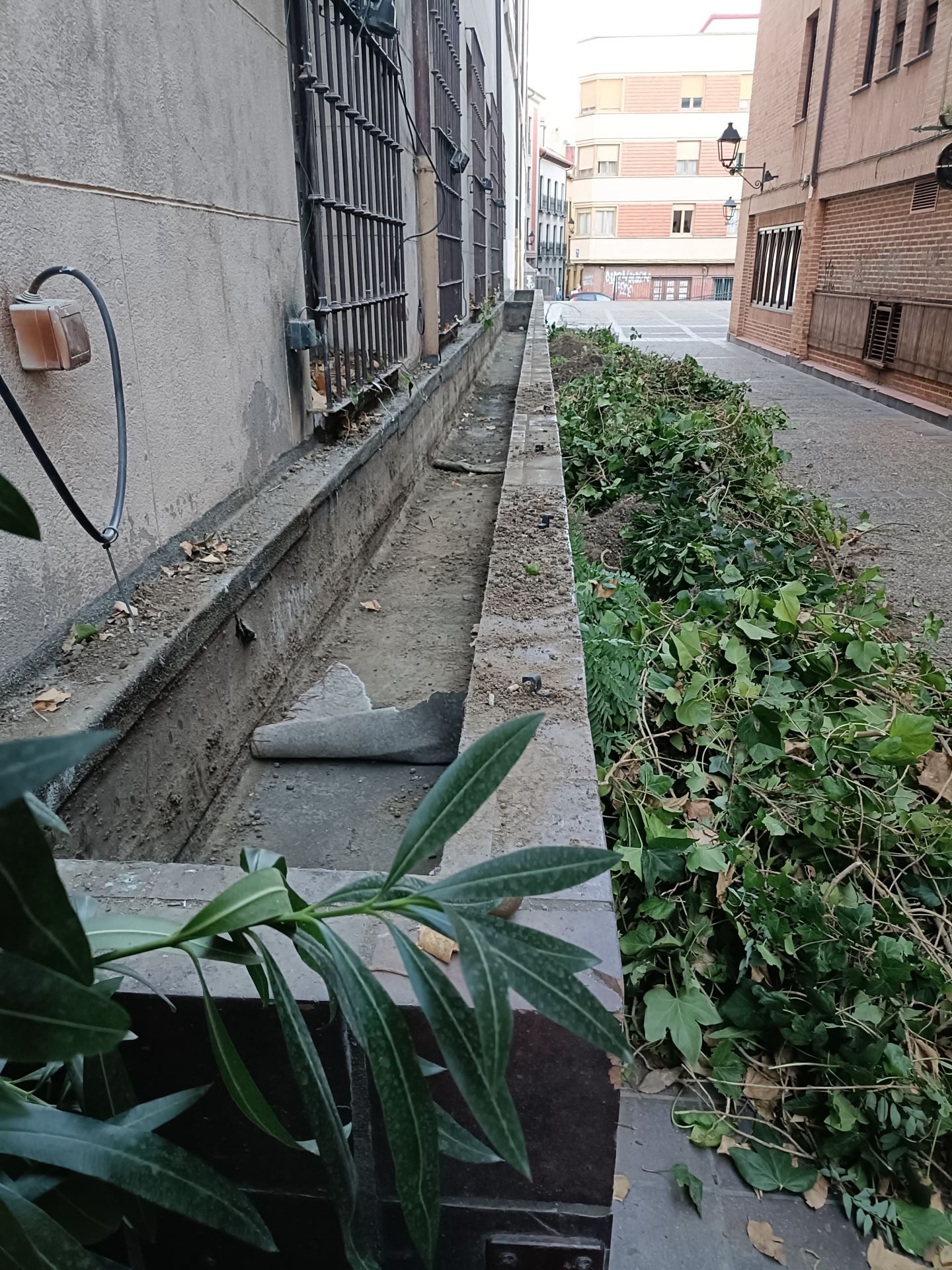 Desaparece el pulmón verde del lateral del Seminario