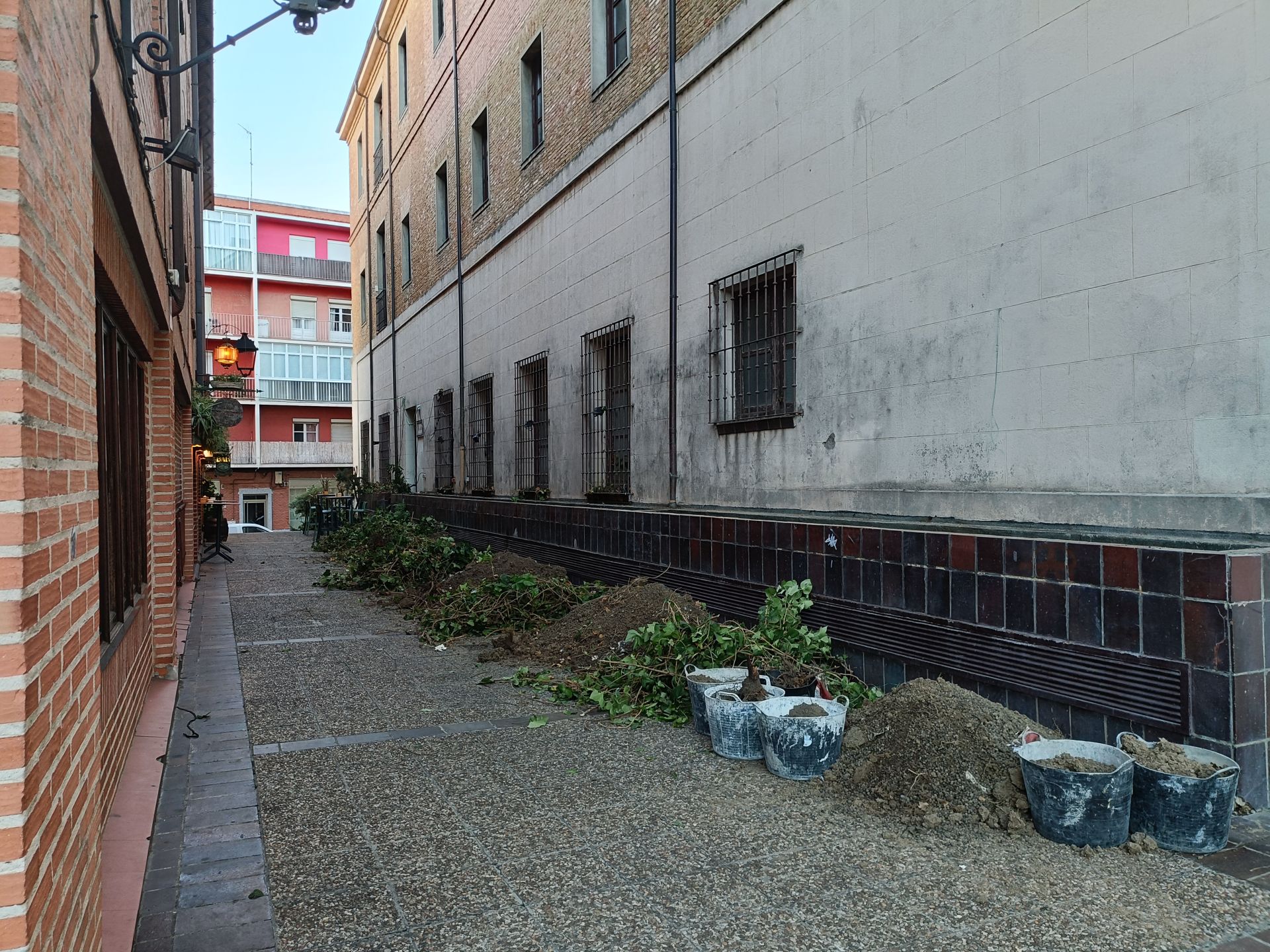 Desaparece el pulmón verde del lateral del Seminario