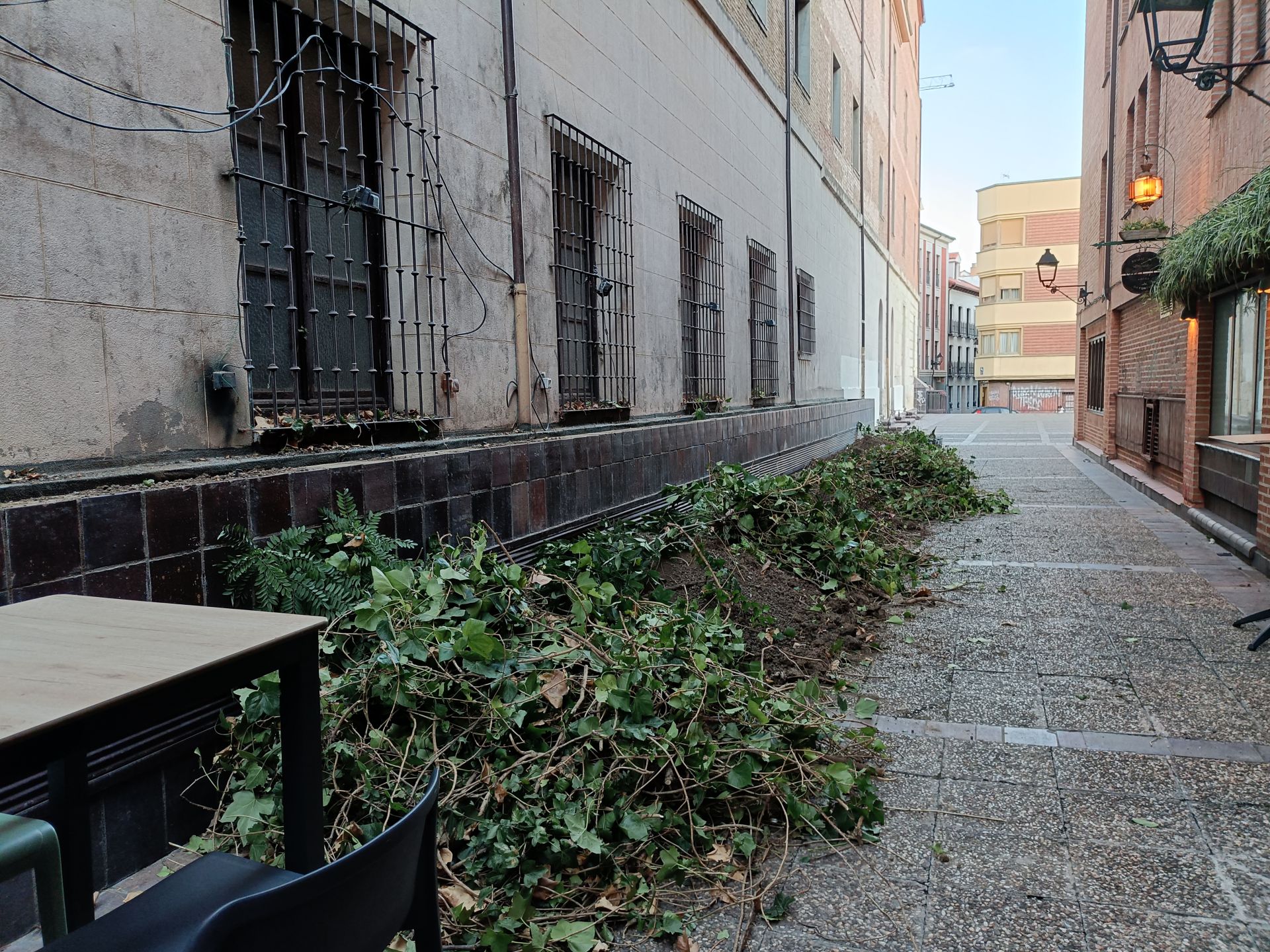 Desaparece el pulmón verde del lateral del Seminario