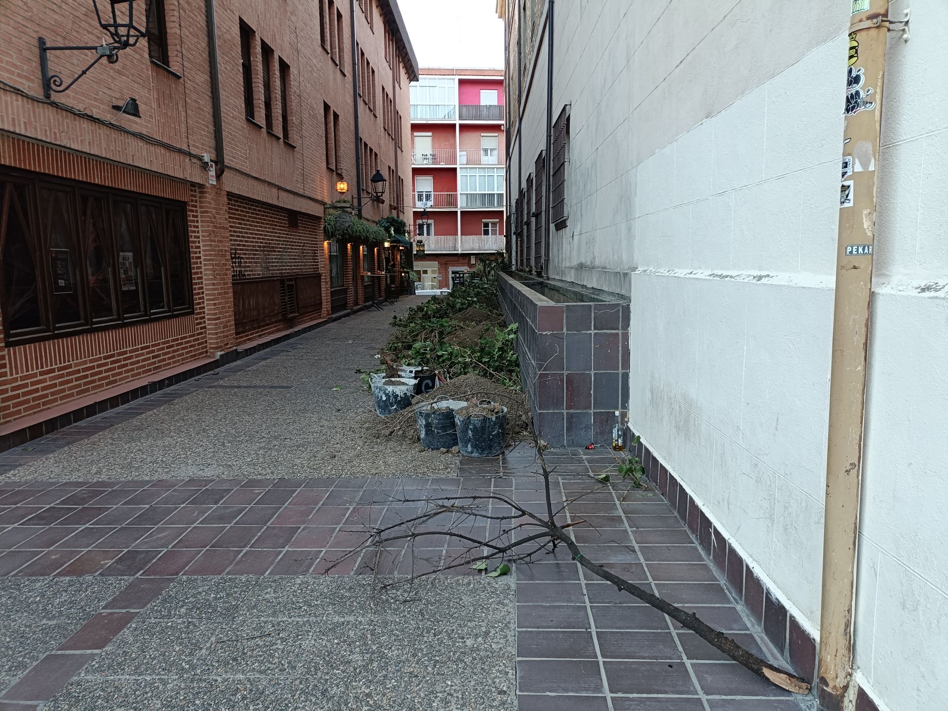 Desaparece el pulmón verde del lateral del Seminario