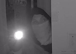 Una asaltante captada por las cámaras de videovigilancia el martes en el centro veterinario de Boecillo.