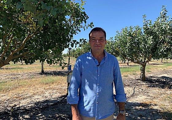 Alfredo Pérez, presidente de Pistacyl