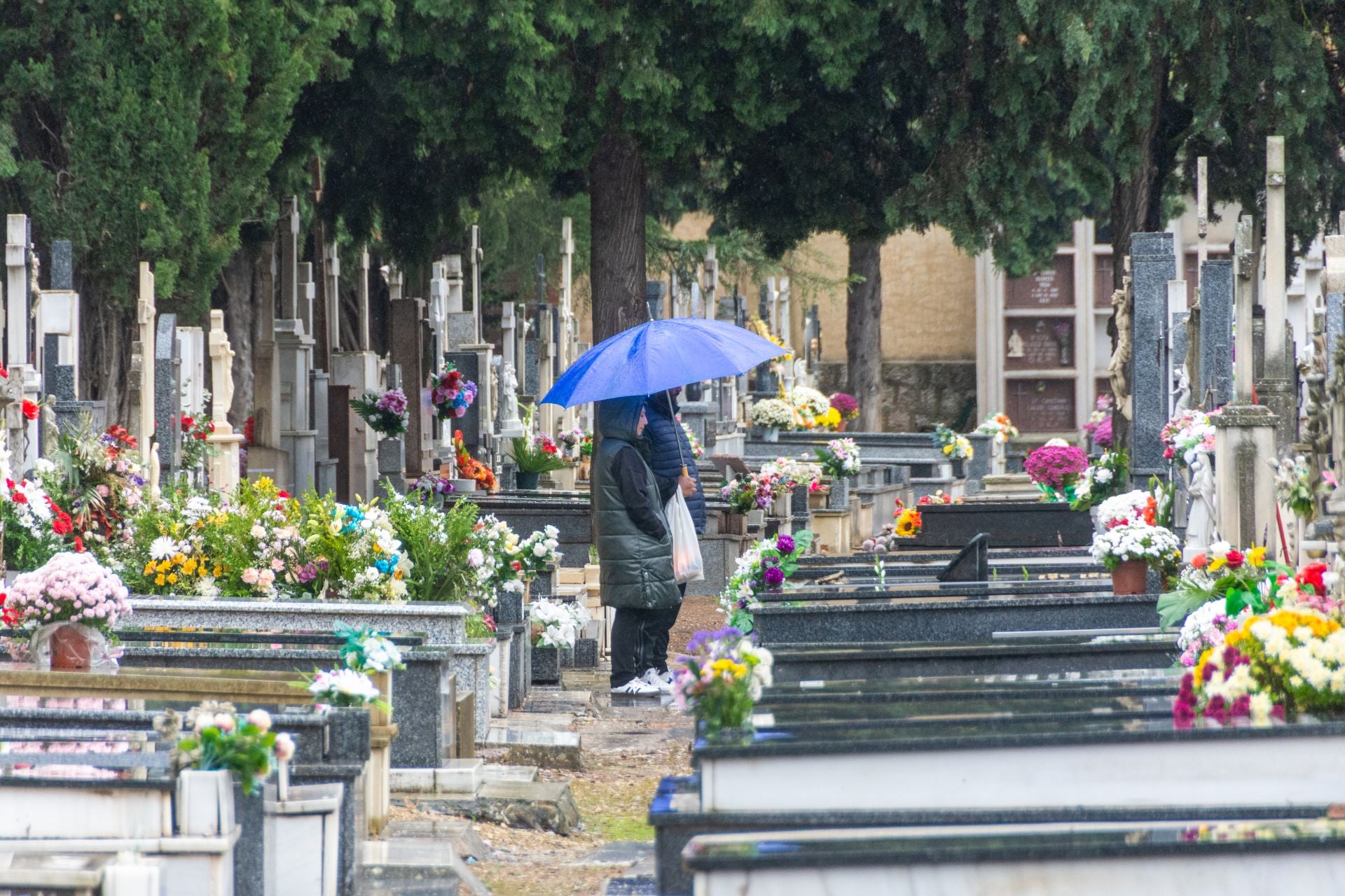 Día de Todos los Santos en Palencia