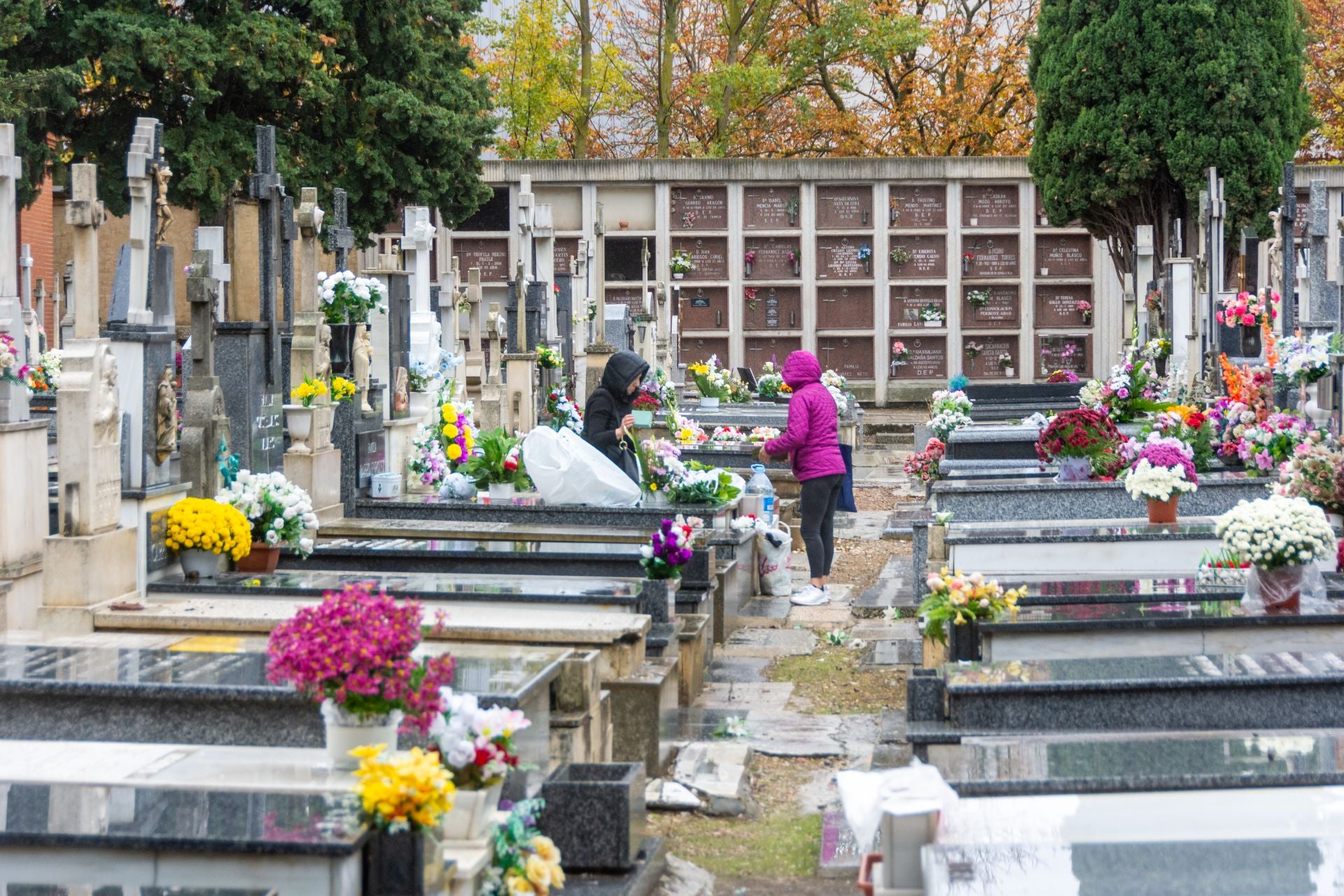 Día de Todos los Santos en Palencia