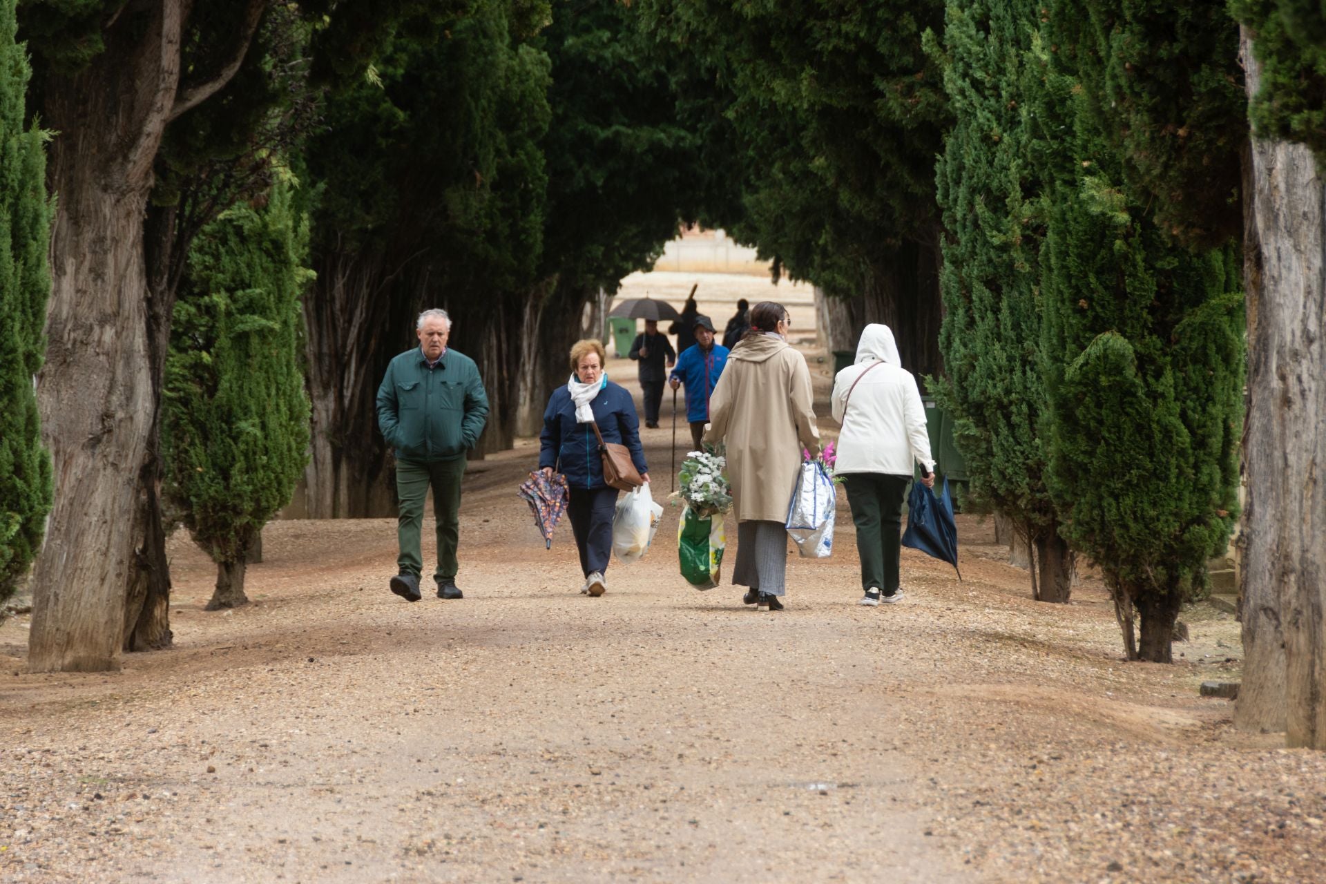 Día de Todos los Santos en Palencia