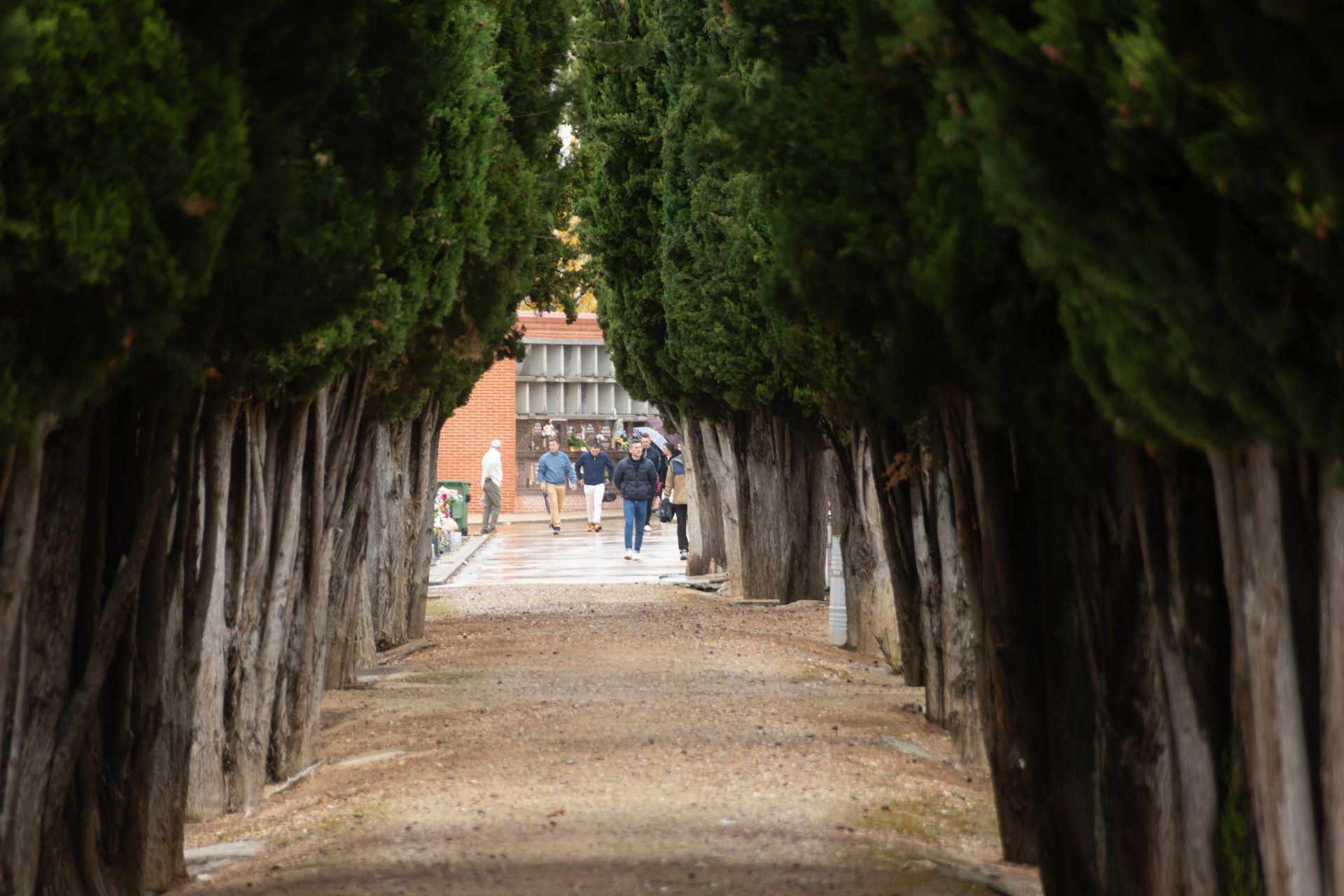 Día de Todos los Santos en Palencia