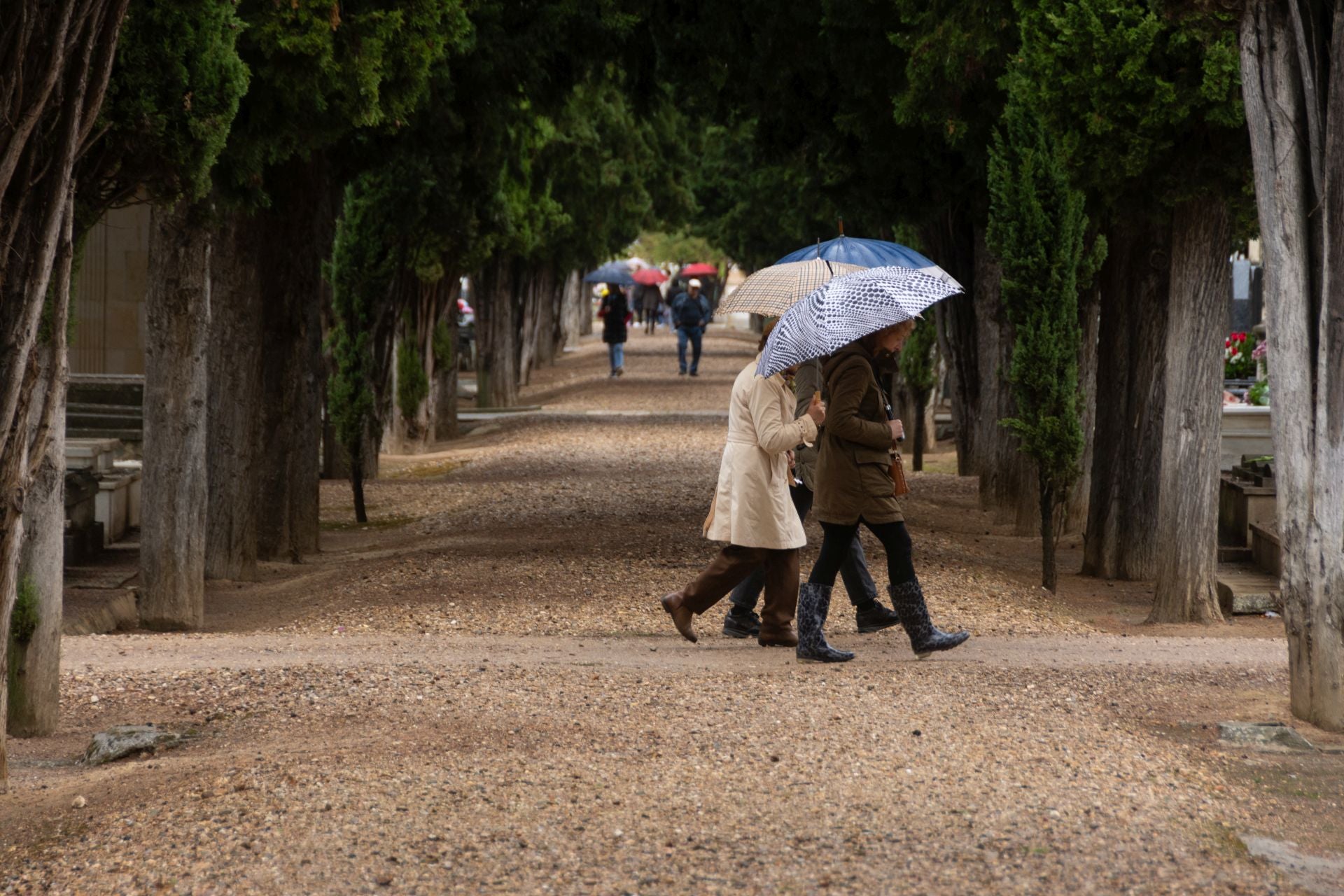 Día de Todos los Santos en Palencia