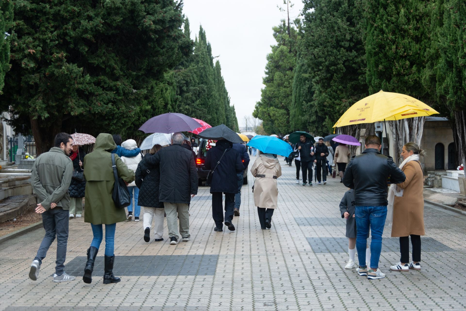 Día de Todos los Santos en Palencia