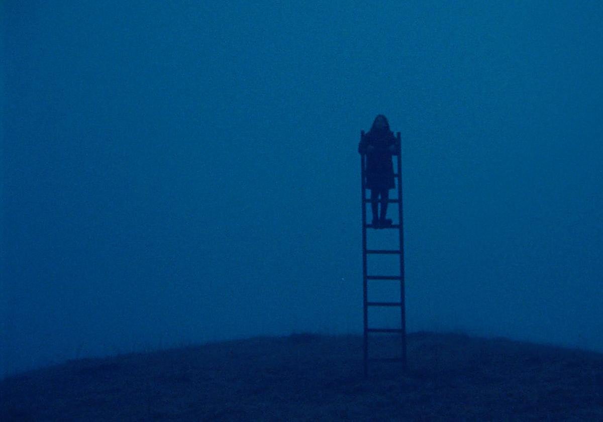 El documental 'Memory'