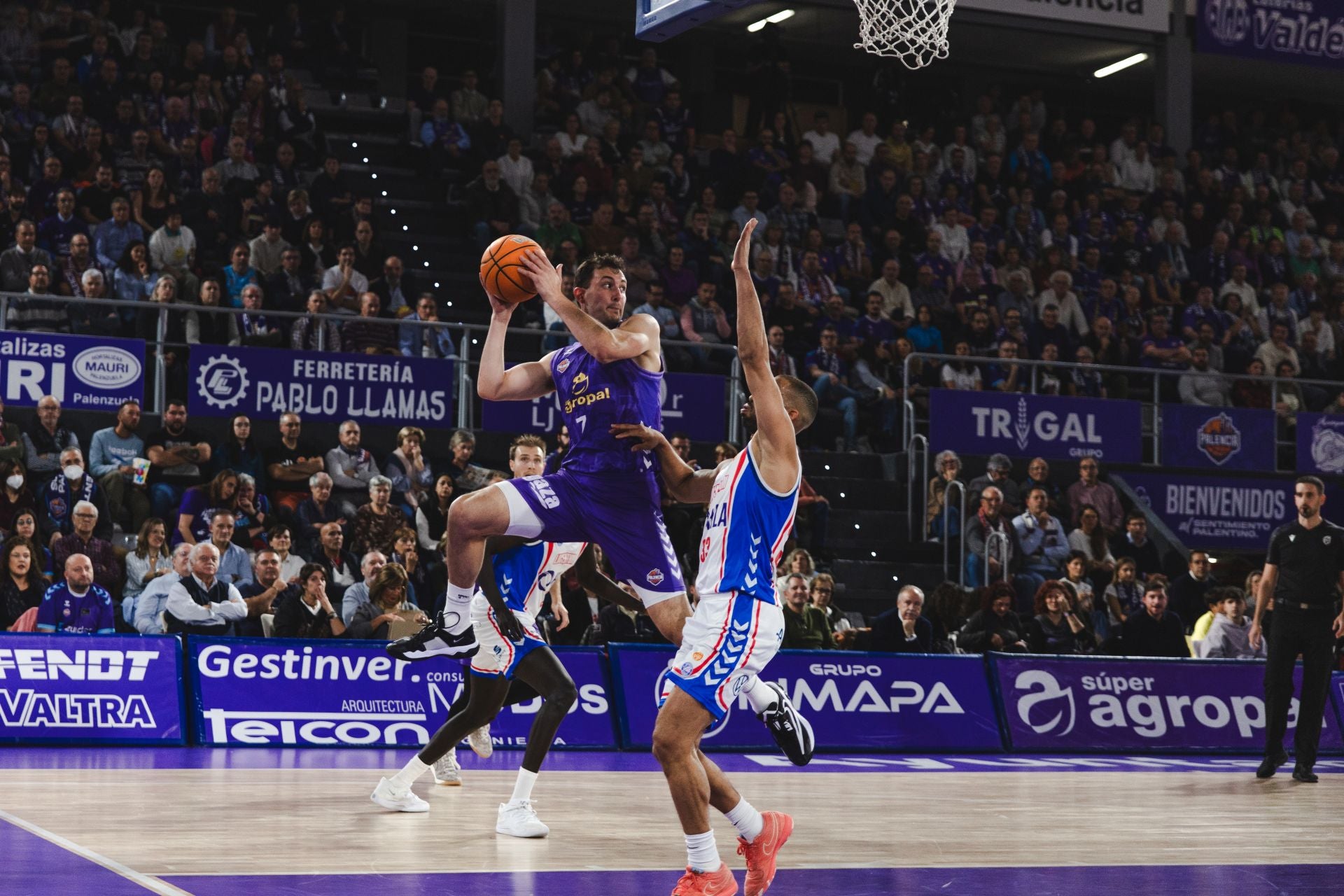 El Súper Agropal cae ante el Alicante