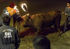 Imagen de una edición anterior del toro jubilo de Medinaceli.