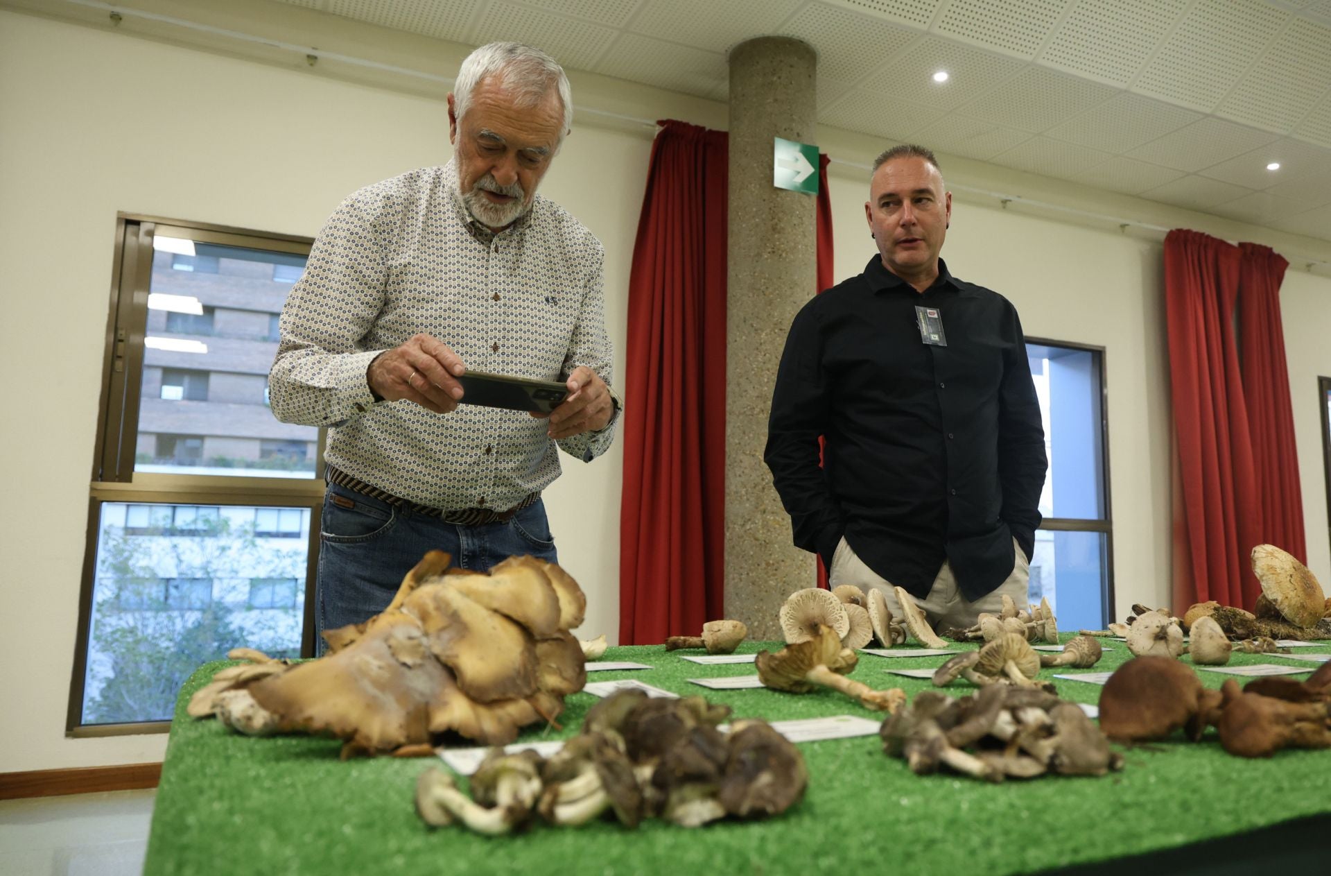 Las fotos de la muestra de setas y hongos de la Asociación Vallisoletana de Micología