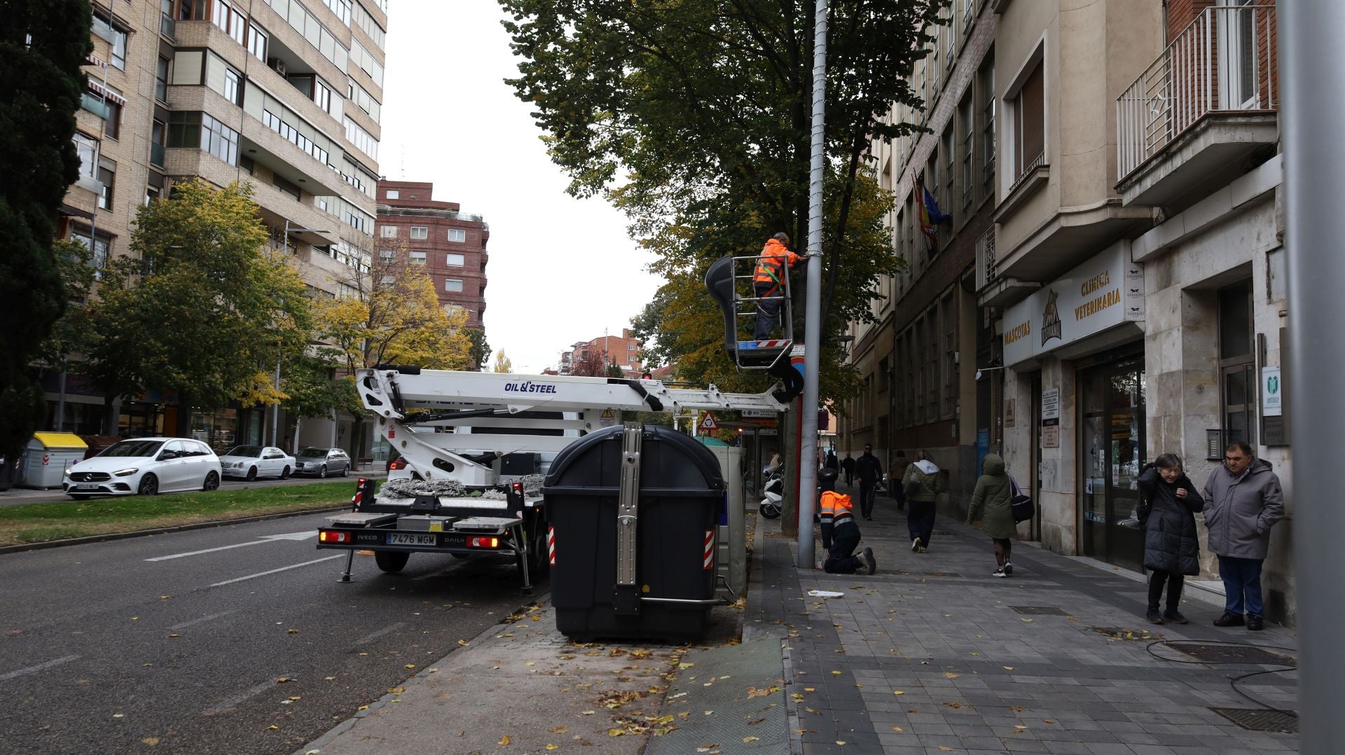 Palencia se acerca a la Navidad con la instalación de las luces