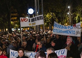 Participantes en la protesta, junto a la Subdelegación del Gobierno.