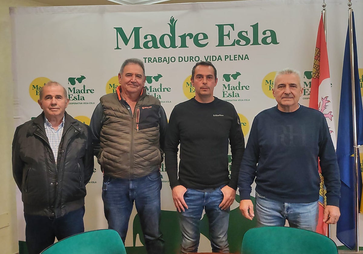 José Antonio Fuertes, Valduino Fernández, Daniel Martínez (presidente) y Romualdo Castro, miembros del consejo rector de la cooperativa.