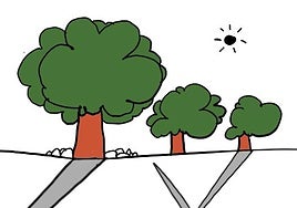 La viñeta de Muskupapi