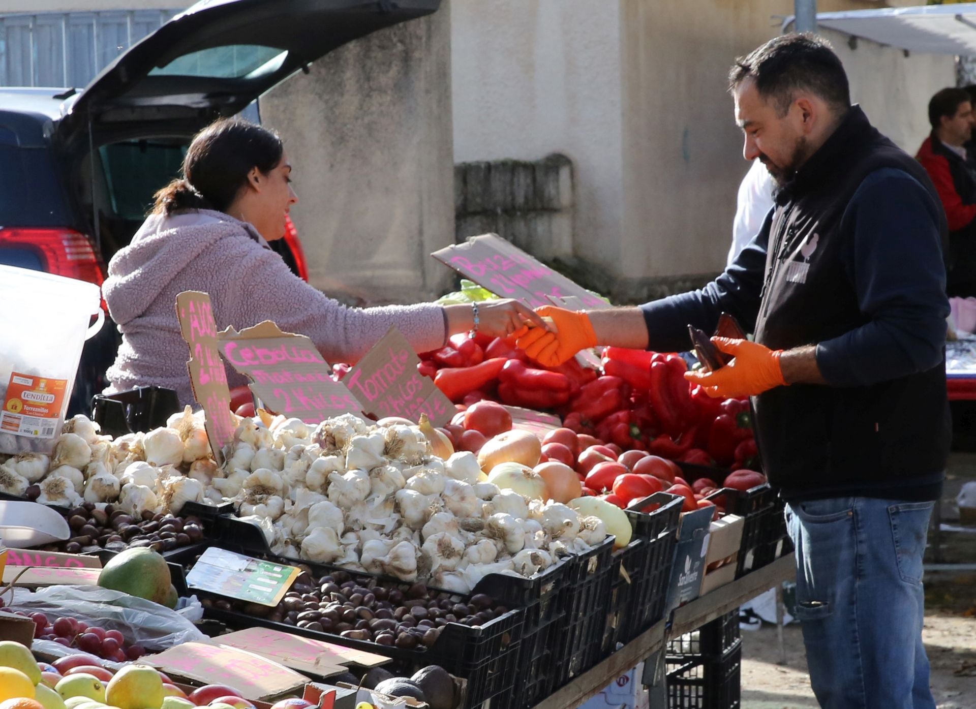 Fotos de la Feria del Ganado de Navafría... sin ganado
