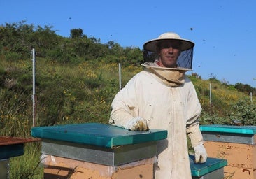 La mejor miel de bosque de España se recolecta en Burgos