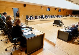 La consejera de Agricultura ha comparecido en las Cortes para explicar el proyecto de presupuestos 2026 para su departamento