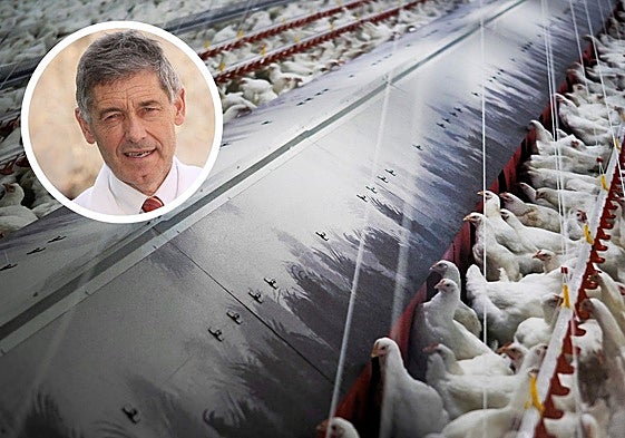 Imagen de una granja de aves, en la foto de detalle, el doctor José María Eiros.