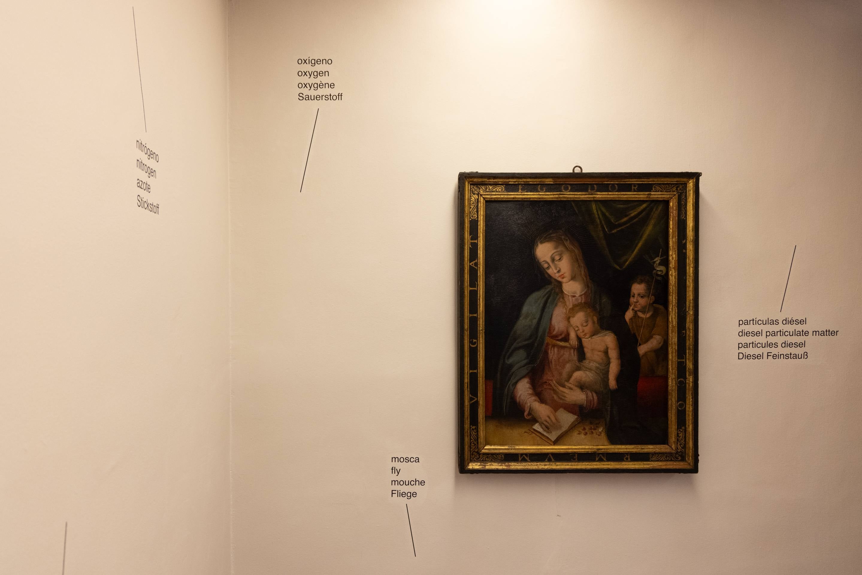 La exposición de Ignasi Aballí en la Casa de Cervantes, en imágenes